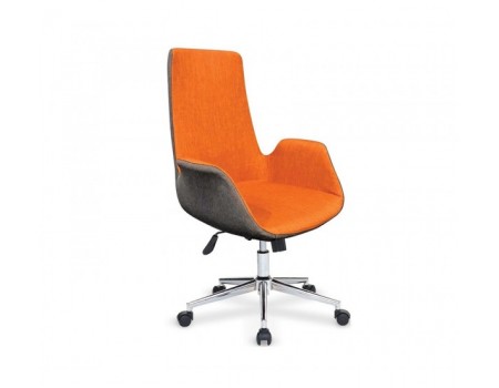 ARMA MÜDÜR KOLTUĞU